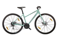 C-Sport Dama 1